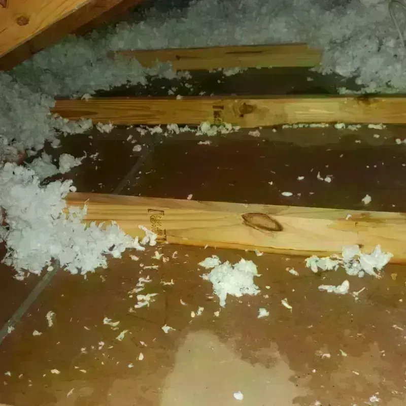 Attic Water Damage in Glidden, IA